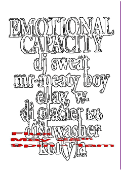 emotional capacity